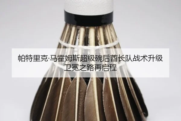 帕特里克·马霍姆斯超级碗后酋长队战术升级 卫冕之路再启程